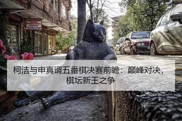 ke-jie-yu-shen-zhen-xu-wu-fan-qi-jue-sai-qian-zhan-dian-feng-dui-jue-qi-tan-xin-wang-zhi-zheng-2-654.jpg